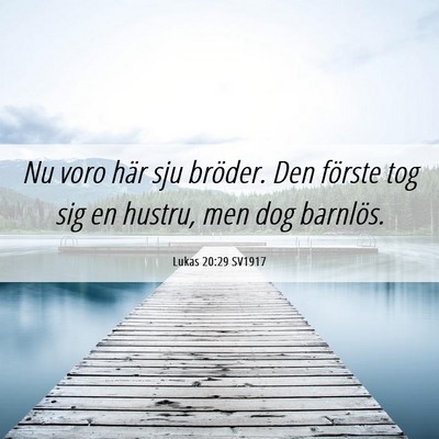 Picture 06 - Lukas 20:29 SV1917 - Nu voro här sju bröder. Den förste tog sig en - Bible Verse Picture