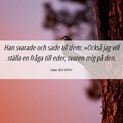 Picture 06 - Lukas 20:3 SV1917 - Han svarade och sade till dem: »Också jag vill - Bible Verse Picture
