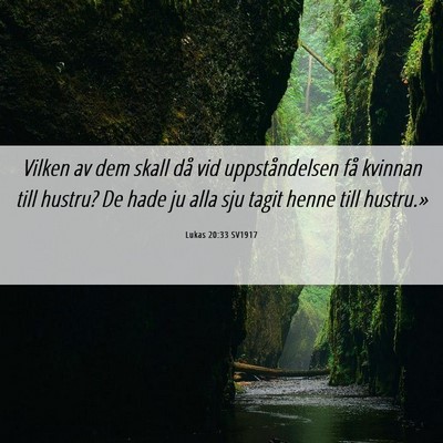 Picture 06 - Lukas 20:33 SV1917 - Vilken av dem skall då vid uppståndelsen få - Bible Verse Picture