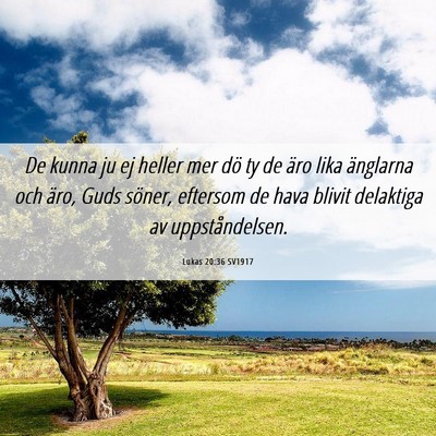 Picture 06 - Lukas 20:36 SV1917 - De kunna ju ej heller mer dö ty de äro lika - Bible Verse Picture