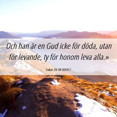 Picture 06 - Lukas 20:38 SV1917 - Och han är en Gud icke för döda, utan för - Bible Verse Picture