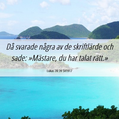 Picture 06 - Lukas 20:39 SV1917 - Då svarade några av de skriftlärde och sade: - Bible Verse Picture