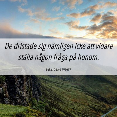 Picture 06 - Lukas 20:40 SV1917 - De dristade sig nämligen icke att vidare ställa - Bible Verse Picture