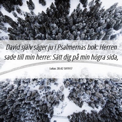 Picture 06 - Lukas 20:42 SV1917 - David själv säger ju i Psalmernas bok: Herren - Bible Verse Picture