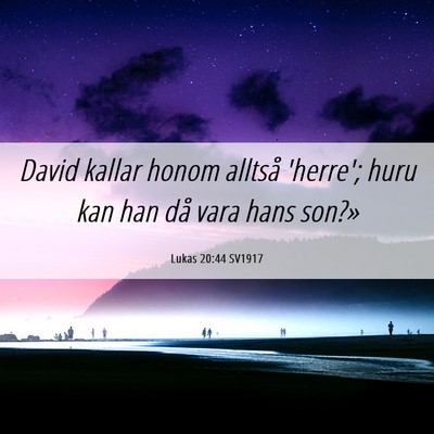 Picture 06 - Lukas 20:44 SV1917 - David kallar honom alltså 'herre'; huru kan han - Bible Verse Picture