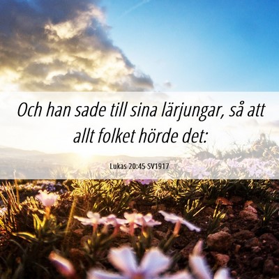 Picture 06 - Lukas 20:45 SV1917 - Och han sade till sina lärjungar, så att allt - Bible Verse Picture