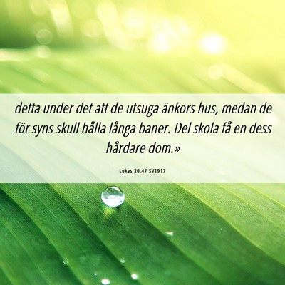 Picture 06 - Lukas 20:47 SV1917 - detta under det att de utsuga änkors hus, medan - Bible Verse Picture