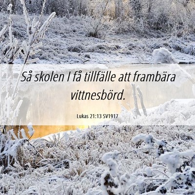 Picture 06 - Lukas 21:13 SV1917 - Så skolen I få tillfälle att frambära - Bible Verse Picture