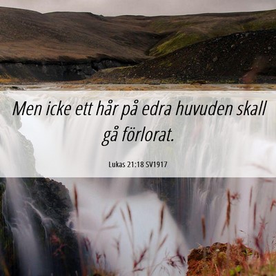 Picture 06 - Lukas 21:18 SV1917 - Men icke ett hår på edra huvuden skall gå - Bible Verse Picture