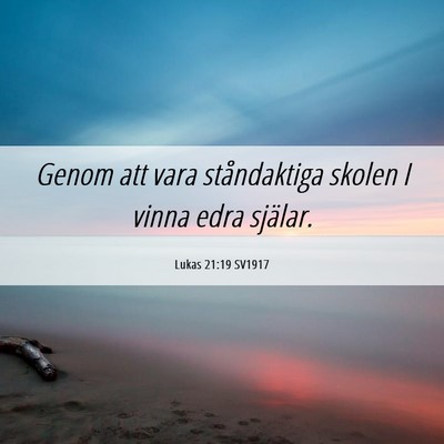 Picture 06 - Lukas 21:19 SV1917 - Genom att vara ståndaktiga skolen I vinna edra - Bible Verse Picture
