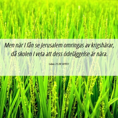 Picture 06 - Lukas 21:20 SV1917 - Men när I fån se Jerusalem omringas av - Bible Verse Picture