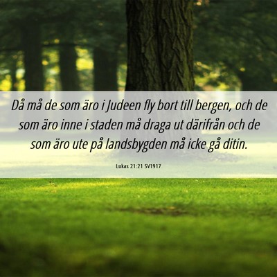 Picture 06 - Lukas 21:21 SV1917 - Då må de som äro i Judeen fly bort till - Bible Verse Picture