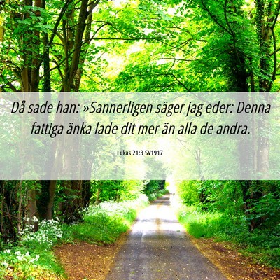 Picture 06 - Lukas 21:3 SV1917 - Då sade han: »Sannerligen säger jag eder: - Bible Verse Picture