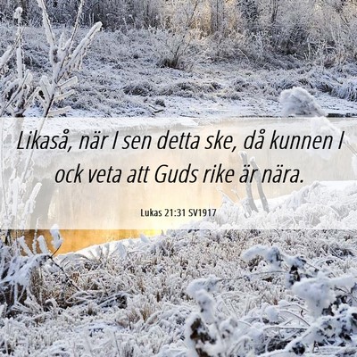 Picture 06 - Lukas 21:31 SV1917 - Likaså, när I sen detta ske, då kunnen I ock - Bible Verse Picture