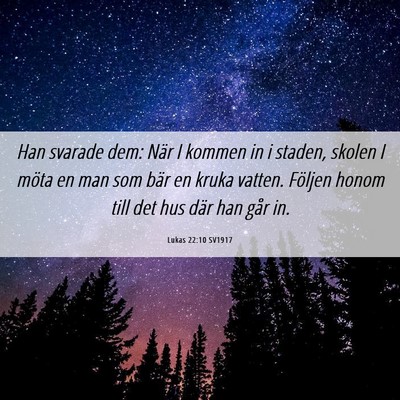 Picture 06 - Lukas 22:10 SV1917 - Han svarade dem: När I kommen in i staden, - Bible Verse Picture