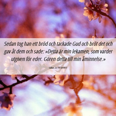 Picture 06 - Lukas 22:19 SV1917 - Sedan tog han ett bröd och tackade Gud och bröt - Bible Verse Picture