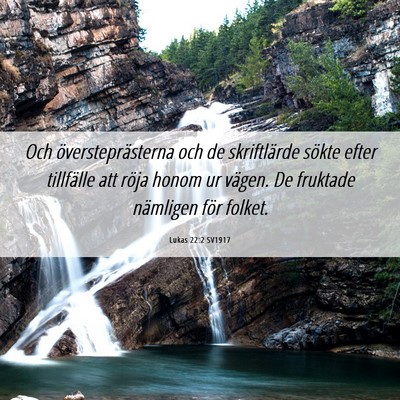 Picture 06 - Lukas 22:2 SV1917 - Och översteprästerna och de skriftlärde sökte - Bible Verse Picture