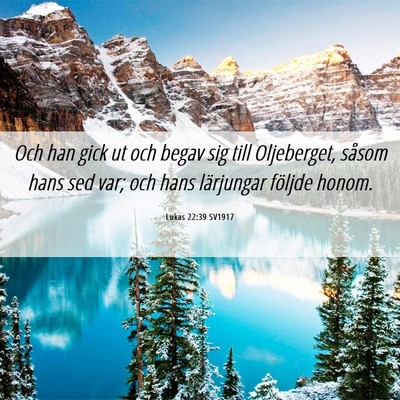 Picture 06 - Lukas 22:39 SV1917 - Och han gick ut och begav sig till Oljeberget, - Bible Verse Picture