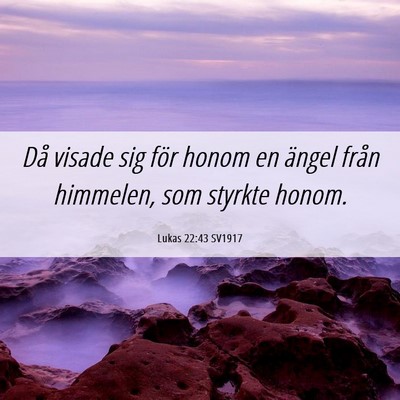 Picture 06 - Lukas 22:43 SV1917 - Då visade sig för honom en ängel från - Bible Verse Picture