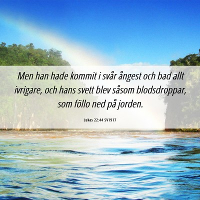 Picture 06 - Lukas 22:44 SV1917 - Men han hade kommit i svår ångest och bad allt - Bible Verse Picture