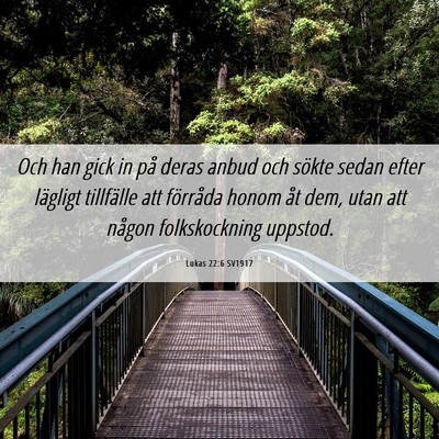 Picture 06 - Lukas 22:6 SV1917 - Och han gick in på deras anbud och sökte sedan - Bible Verse Picture
