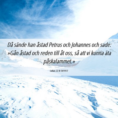 Picture 06 - Lukas 22:8 SV1917 - Då sände han åstad Petrus och Johannes och - Bible Verse Picture