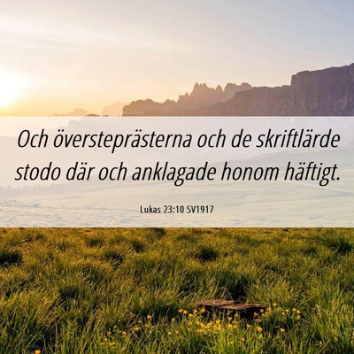 Picture 06 - Lukas 23:10 SV1917 - Och översteprästerna och de skriftlärde stodo - Bible Verse Picture