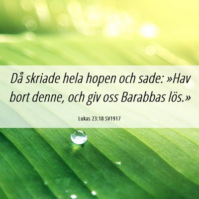 Picture 06 - Lukas 23:18 SV1917 - Då skriade hela hopen och sade: »Hav bort - Bible Verse Picture