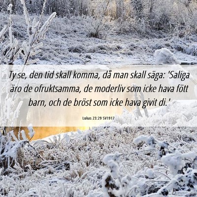 Picture 06 - Lukas 23:29 SV1917 - Ty se, den tid skall komma, då man skall säga: - Bible Verse Picture