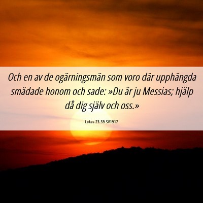 Picture 06 - Lukas 23:39 SV1917 - Och en av de ogärningsmän som voro där - Bible Verse Picture