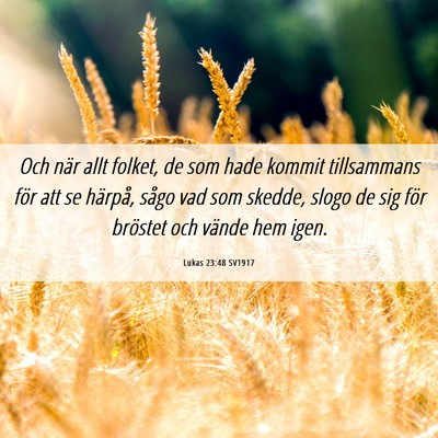 Picture 06 - Lukas 23:48 SV1917 - Och när allt folket, de som hade kommit - Bible Verse Picture