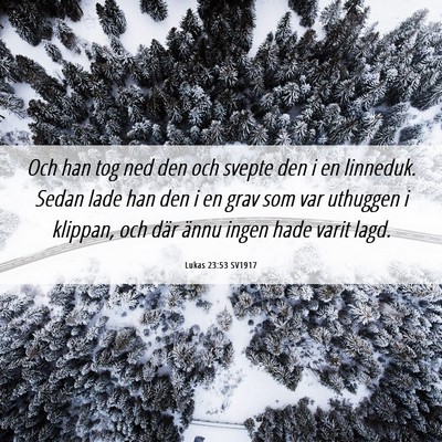 Picture 06 - Lukas 23:53 SV1917 - Och han tog ned den och svepte den i en linneduk. - Bible Verse Picture