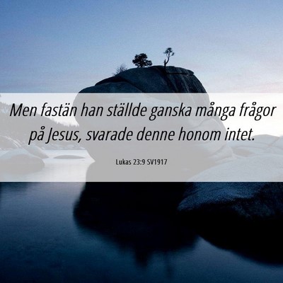 Picture 06 - Lukas 23:9 SV1917 - Men fastän han ställde ganska många frågor - Bible Verse Picture
