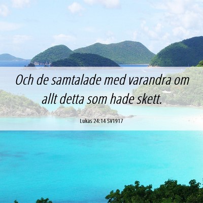 Picture 06 - Lukas 24:14 SV1917 - Och de samtalade med varandra om allt detta som - Bible Verse Picture