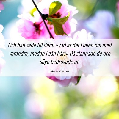 Picture 06 - Lukas 24:17 SV1917 - Och han sade till dem: »Vad är det I talen om - Bible Verse Picture