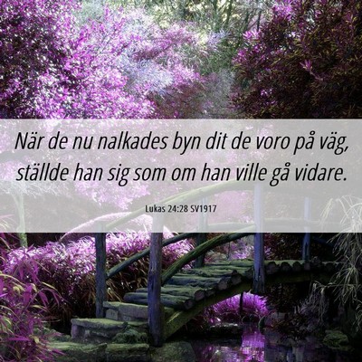 Picture 06 - Lukas 24:28 SV1917 - När de nu nalkades byn dit de voro på väg, - Bible Verse Picture
