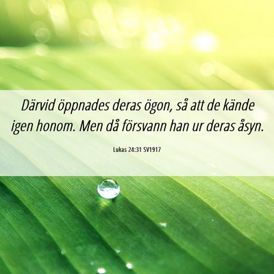 Picture 06 - Lukas 24:31 SV1917 - Därvid öppnades deras ögon, så att de kände - Bible Verse Picture