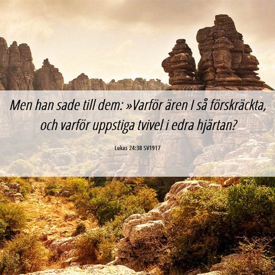 Picture 06 - Lukas 24:38 SV1917 - Men han sade till dem: »Varför ären I så - Bible Verse Picture