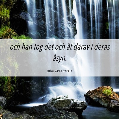 Picture 06 - Lukas 24:43 SV1917 - och han tog det och åt därav i deras - Bible Verse Picture