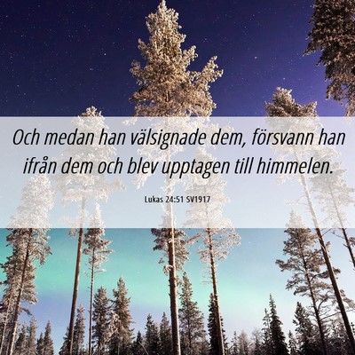 Picture 06 - Lukas 24:51 SV1917 - Och medan han välsignade dem, försvann han - Bible Verse Picture