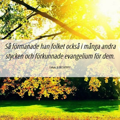 Picture 06 - Lukas 3:18 SV1917 - Så förmanade han folket också i många andra - Bible Verse Picture