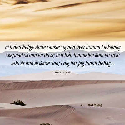 Picture 06 - Lukas 3:22 SV1917 - och den helige Ande sänkte sig ned över honom I - Bible Verse Picture