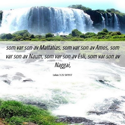 Picture 06 - Lukas 3:25 SV1917 - som var son av Mattatias, som var son av Amos, - Bible Verse Picture