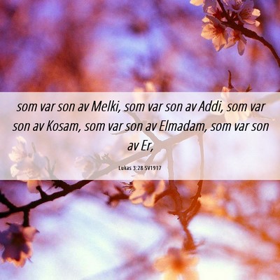 Picture 06 - Lukas 3:28 SV1917 - som var son av Melki, som var son av Addi, som - Bible Verse Picture