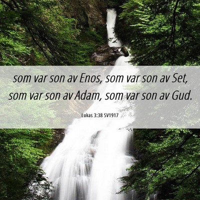 Picture 06 - Lukas 3:38 SV1917 - som var son av Enos, som var son av Set, som var - Bible Verse Picture