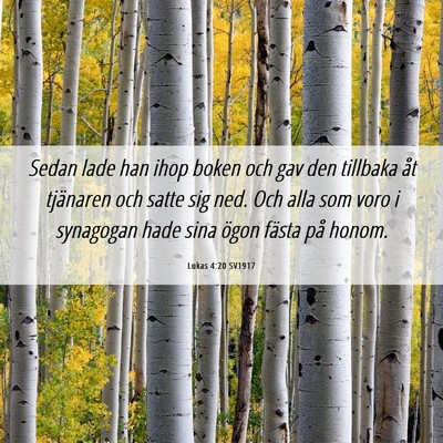 Picture 06 - Lukas 4:20 SV1917 - Sedan lade han ihop boken och gav den tillbaka - Bible Verse Picture