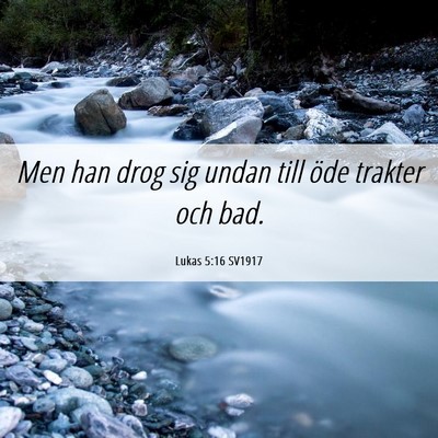 Picture 06 - Lukas 5:16 SV1917 - Men han drog sig undan till öde trakter och - Bible Verse Picture