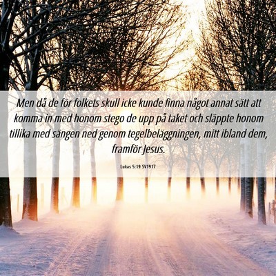 Picture 06 - Lukas 5:19 SV1917 - Men då de för folkets skull icke kunde finna - Bible Verse Picture