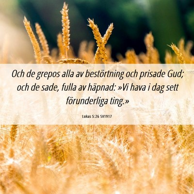 Picture 06 - Lukas 5:26 SV1917 - Och de grepos alla av bestörtning och prisade - Bible Verse Picture