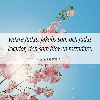Picture 06 - Lukas 6:16 SV1917 - vidare Judas, Jakobs son, och Judas Iskariot, den - Bible Verse Picture